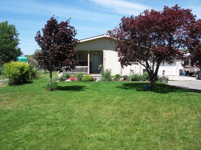 Main View