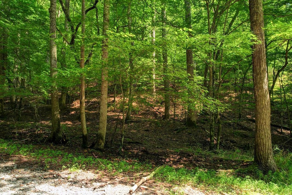 LOT 1972 Nancy Ct, Ellijay, GA 30540 - photo 1