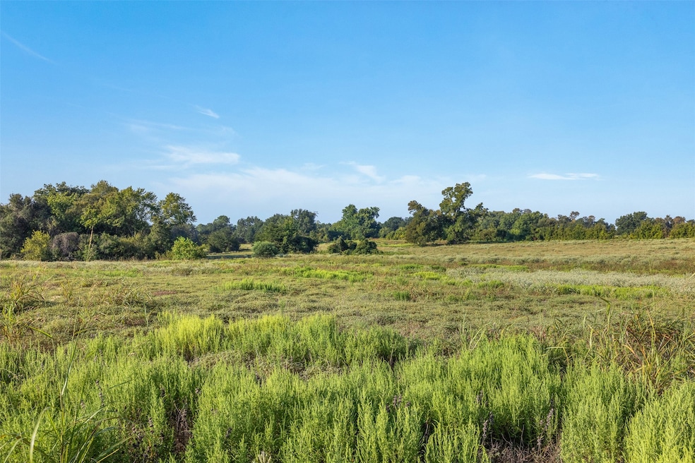 Lot 2 Brown College Ln, Washington, TX 77880 - photo 1