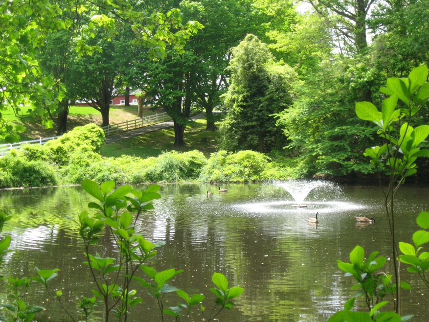 WHOLE POND