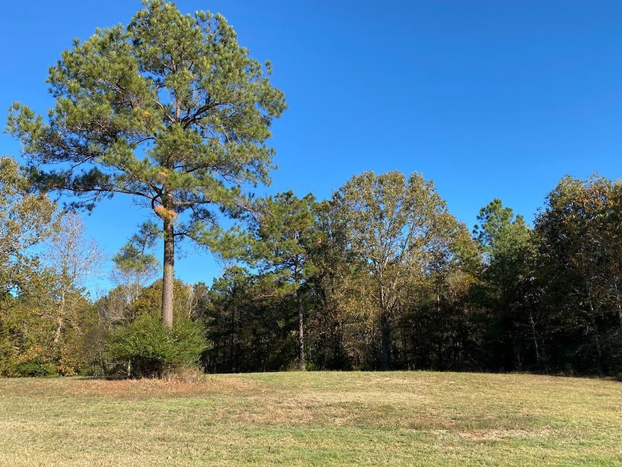 2415 Fm 698, Nacogdoches, TX 75964 - photo 1