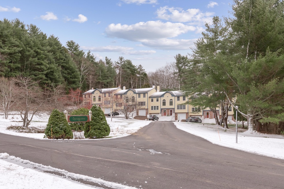 01_25 Spring View Ln Unit 6_PGM_Print
