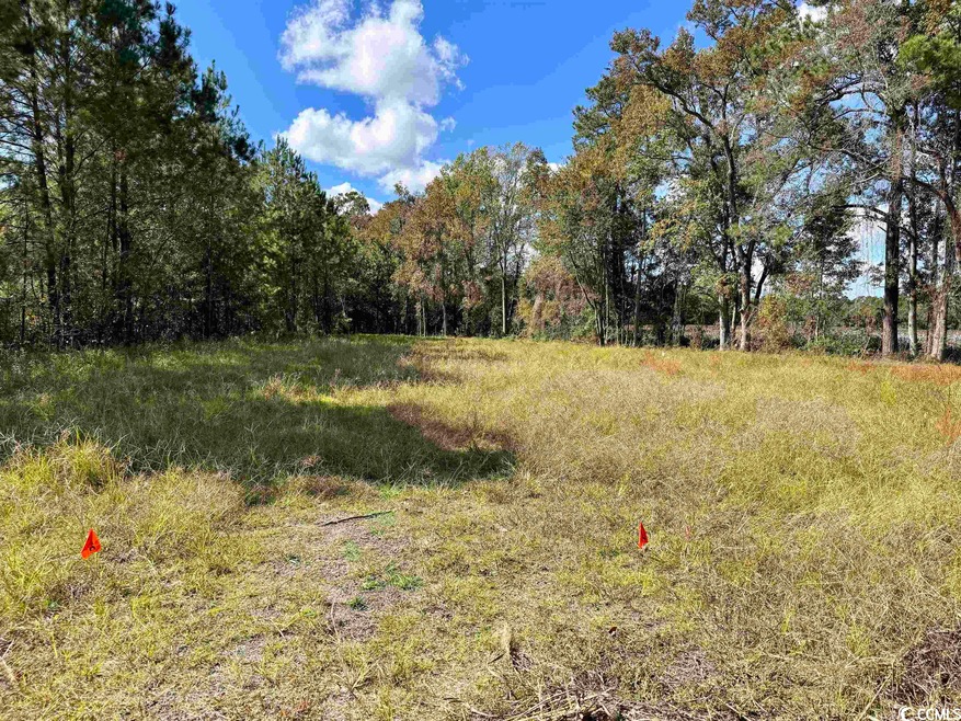 Beautiful lot with tree-line privacy