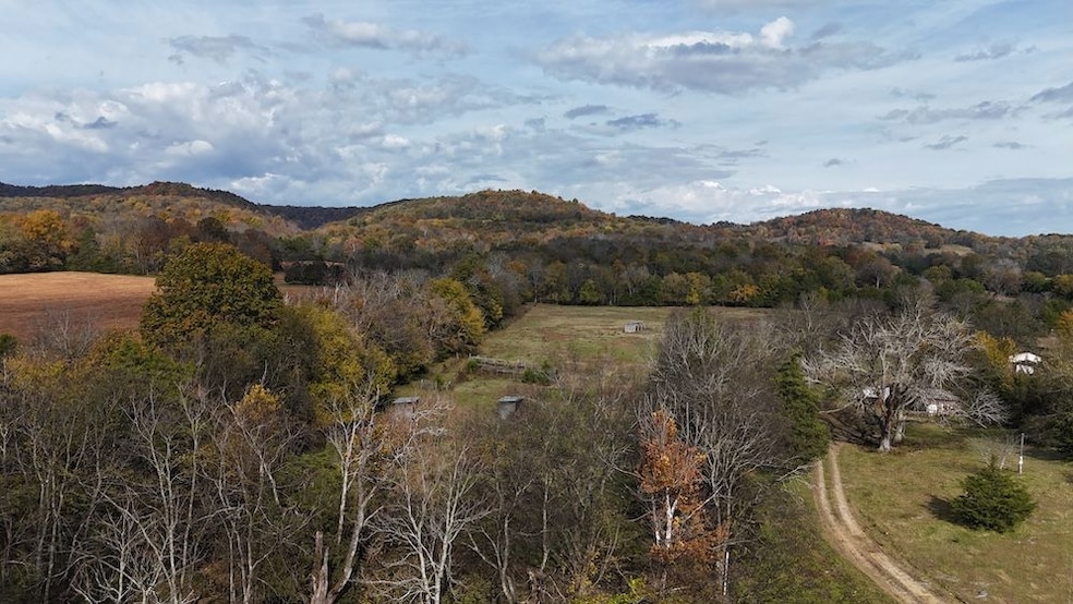 2520 Brown Shop Rd, Petersburg, TN 37144 - photo 1