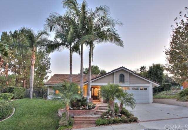 Large Front Yard with Lush Palm Trees