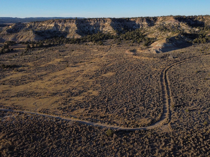 0 Banco Rd, La Jara, NM 87027 - photo 1