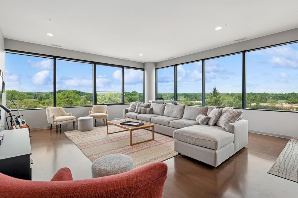 Cloud 9 at Sky Flats unit 517, Minnetonka, MN 55343 - photo 1