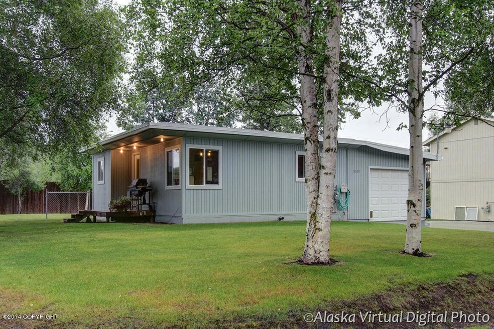 Beautiful lawn & mature birch trees