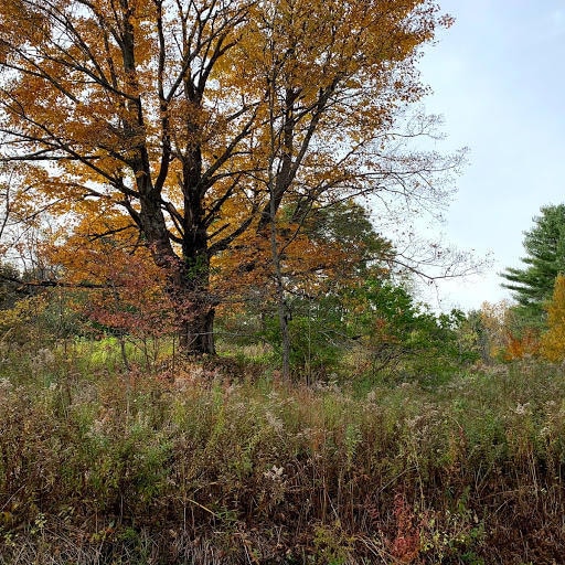 31 Elm St W, Hampden, ME 04444 - photo 1