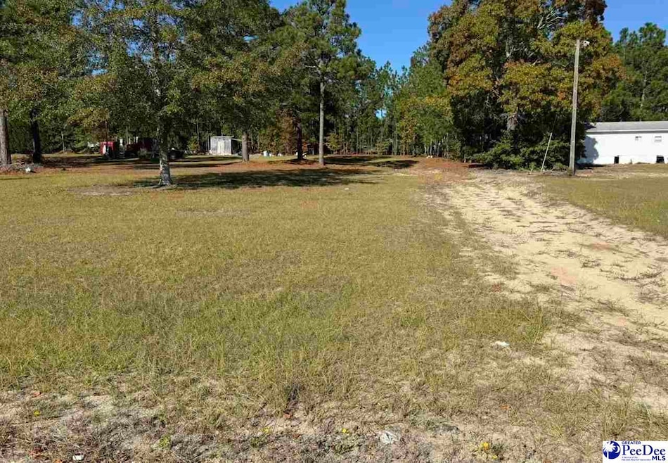 Lot 77 Murray Ln, McBee, SC 29101 - photo 1