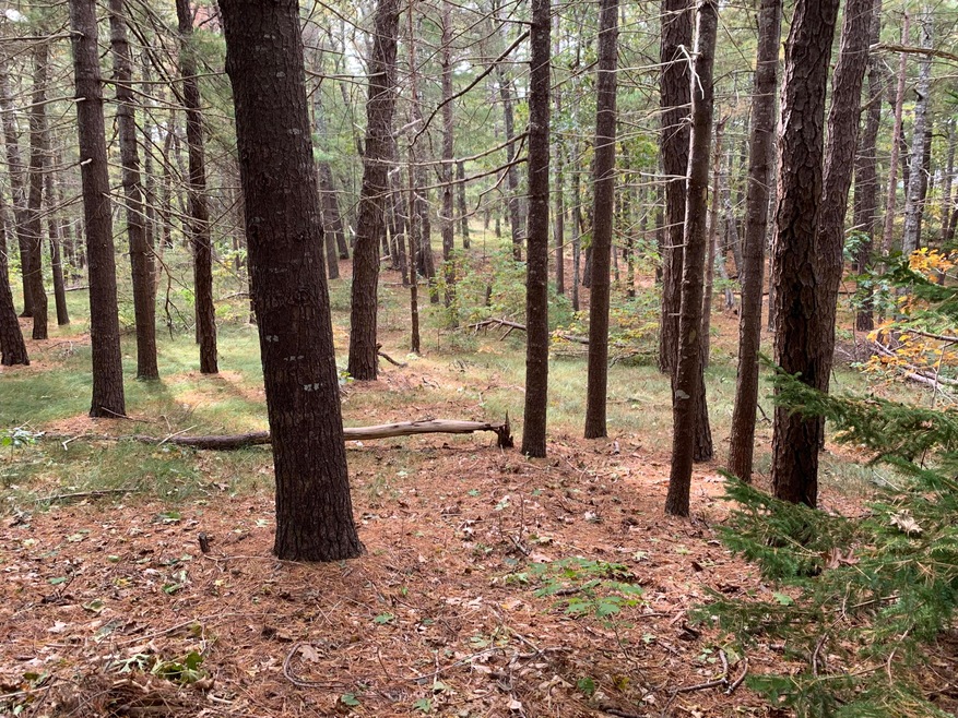 01 Clapp Ln, Wellfleet, MA 02667 - photo 1