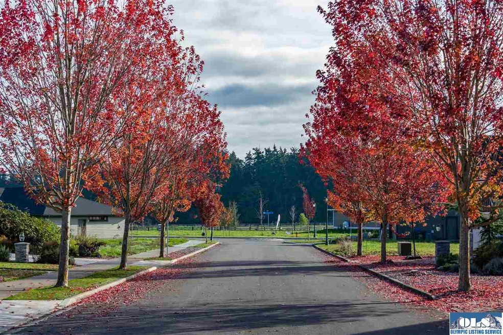 460 Broadmoor St, Sequim, WA 98382 - photo 1