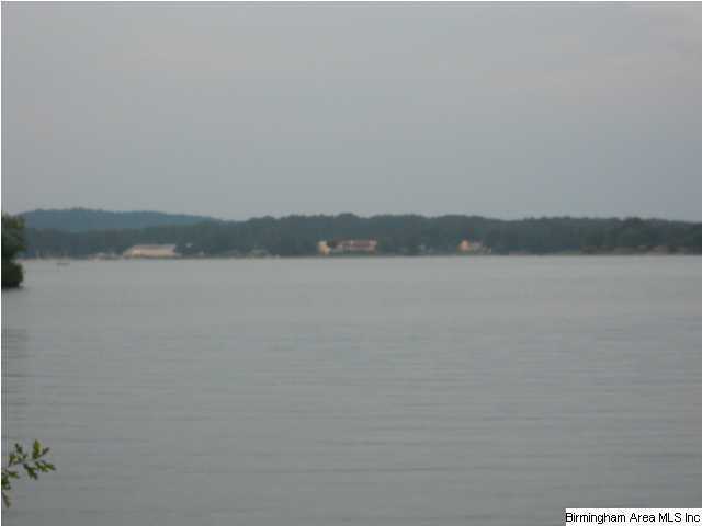 Beautiful Waterfront Lot on Logan Martin Convenien