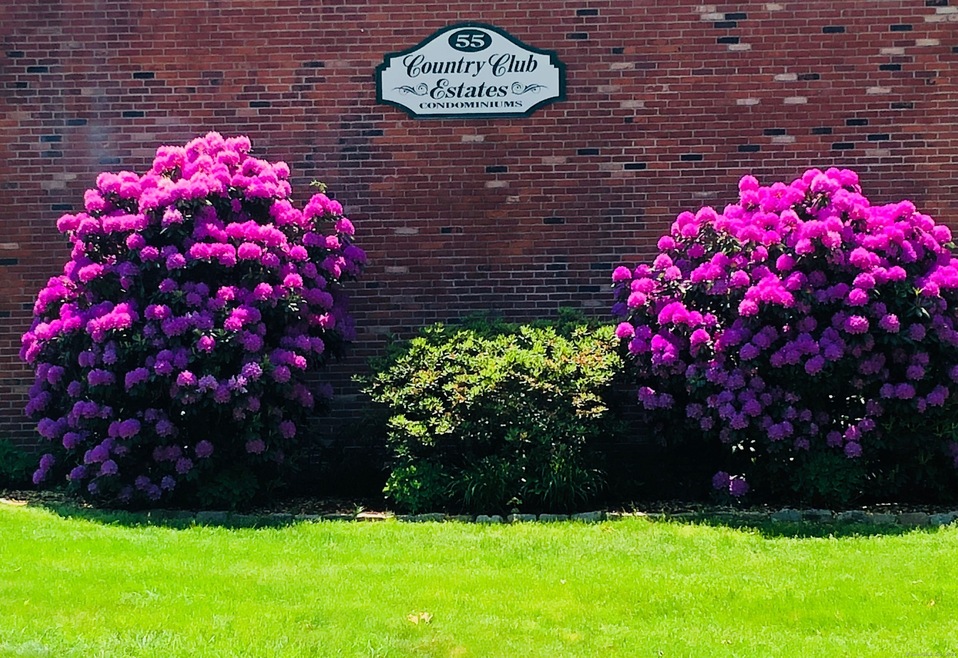 Welcome to Country Club Estates