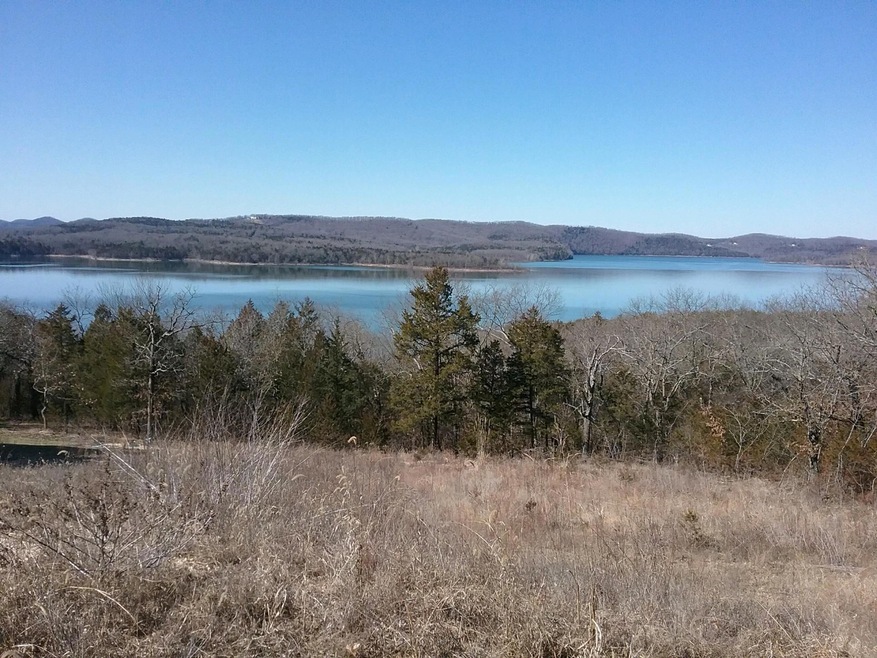 000 Terrace Park Rd, Ruth B Rural Township, MO 65686 - photo 1