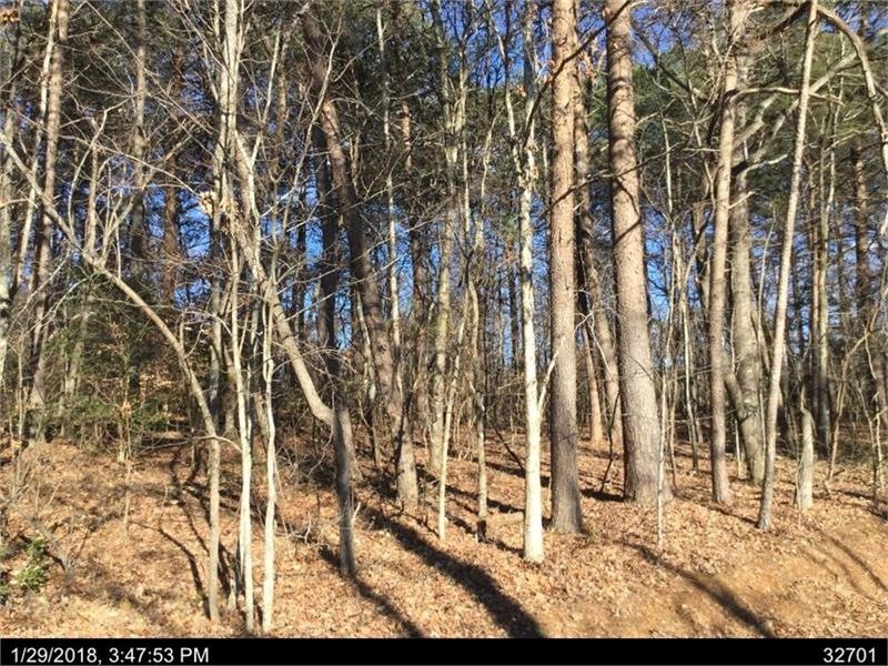 0 Timberland Dr unit 6667237, Ellijay, GA 30540 - photo 1