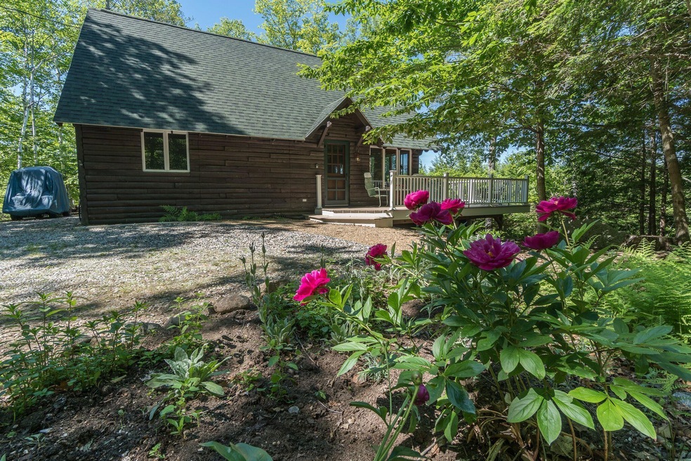 cottage in the woods 2