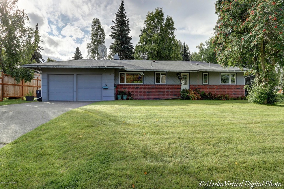2207 Susitna