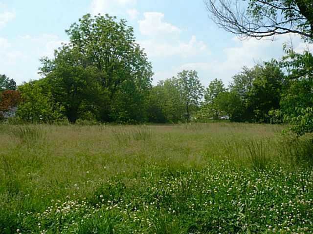 Primary Photo