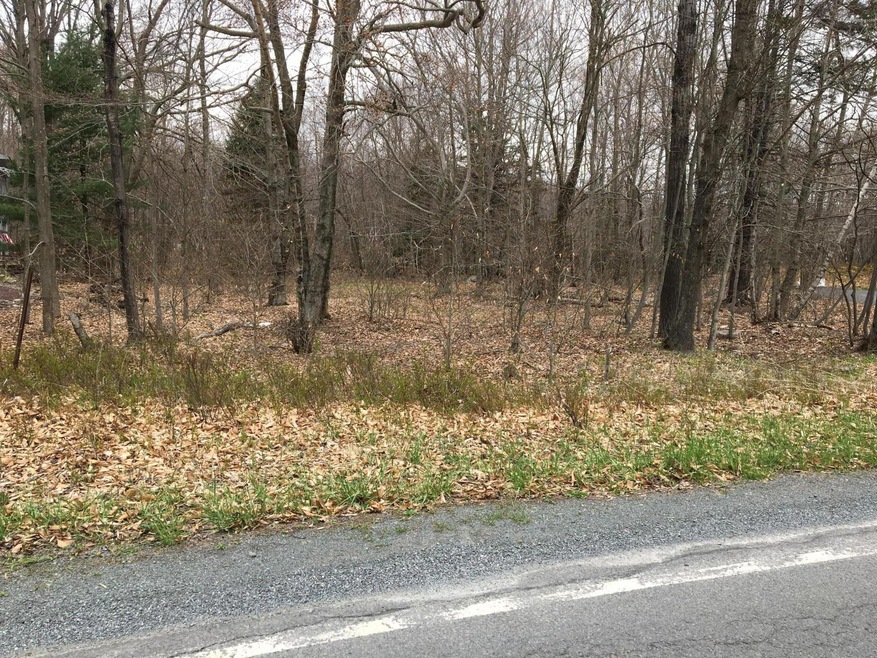 #18 Woodland Ave, Pocono Pines, PA 18350 - photo 1
