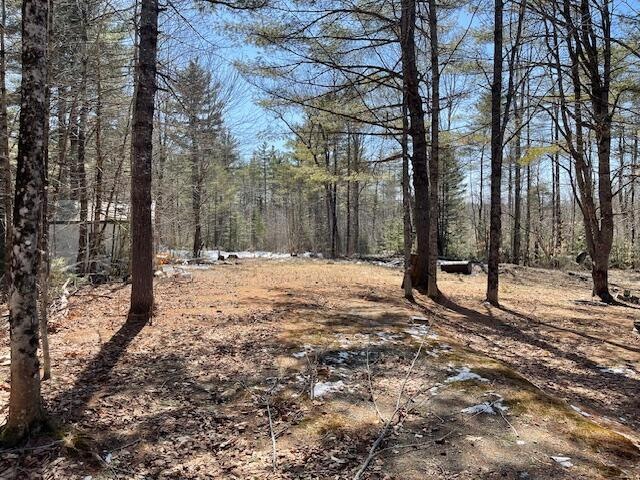 139 McNaughton Hill Rd, Sangerville, ME 04479 - photo 1