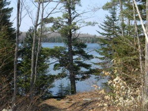 Lake View