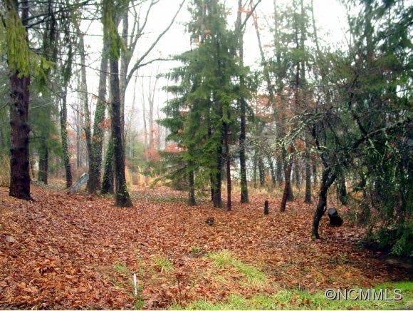 405 Hillcrest Cir unit 3, Hendersonville, NC 28792 - photo 1