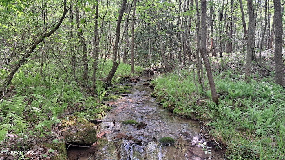 Lot 20 Airport Rd (Pca), Rockwood, TN 37854 - photo 1