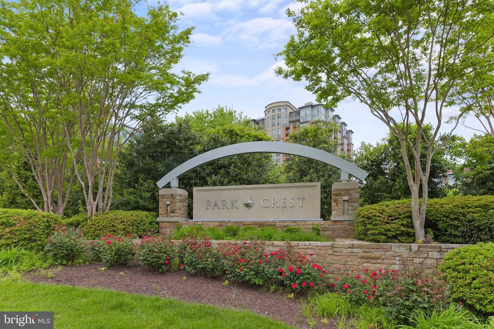 For Rent $3,800/month • Co-Listing Agent