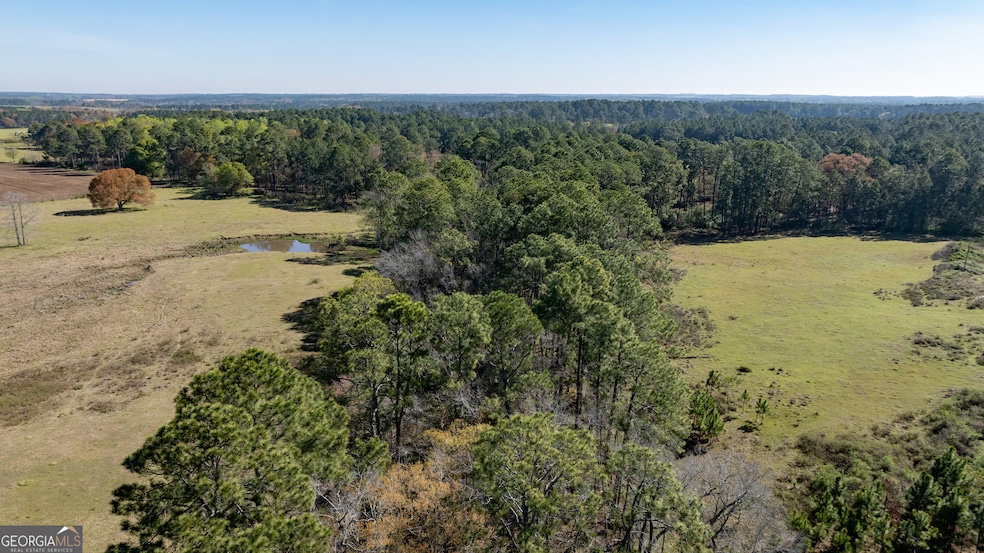 0 Lost Rd, Arabi, GA 31712 - photo 1