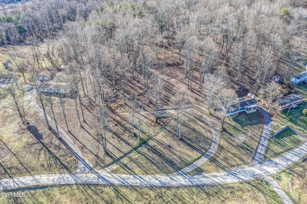 337 Johnson Cemetery Rd unit Lot 13, Blountville, TN 37617 - photo 1