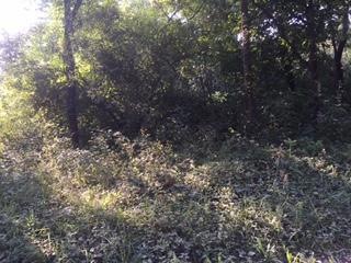 0 Dawley New Pittsburg Rd unit Lot 5 217039445, Logan, OH 43138 - photo 1