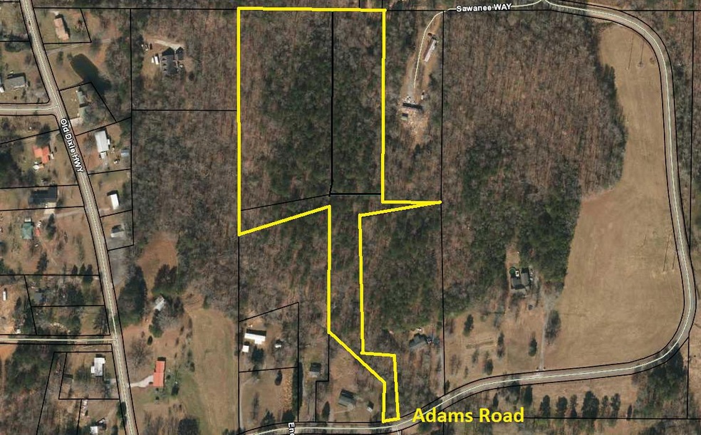 Adams 3
