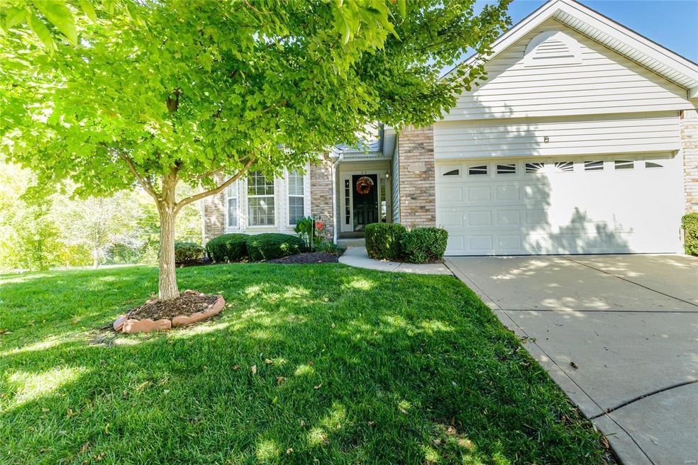 Welcome to 20 Rainier Pointe Ct in the Summit Poin