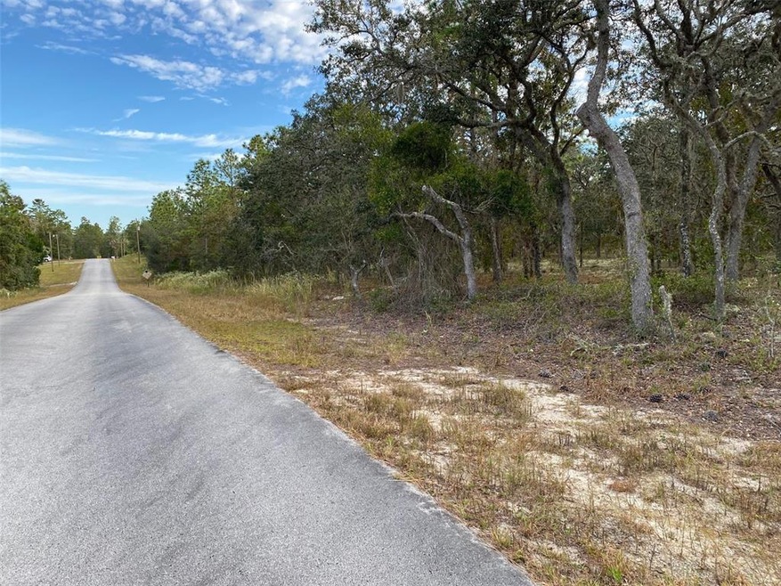 000 SW Admiral Landing Dr, Dunnellon, FL 34431 - photo 1