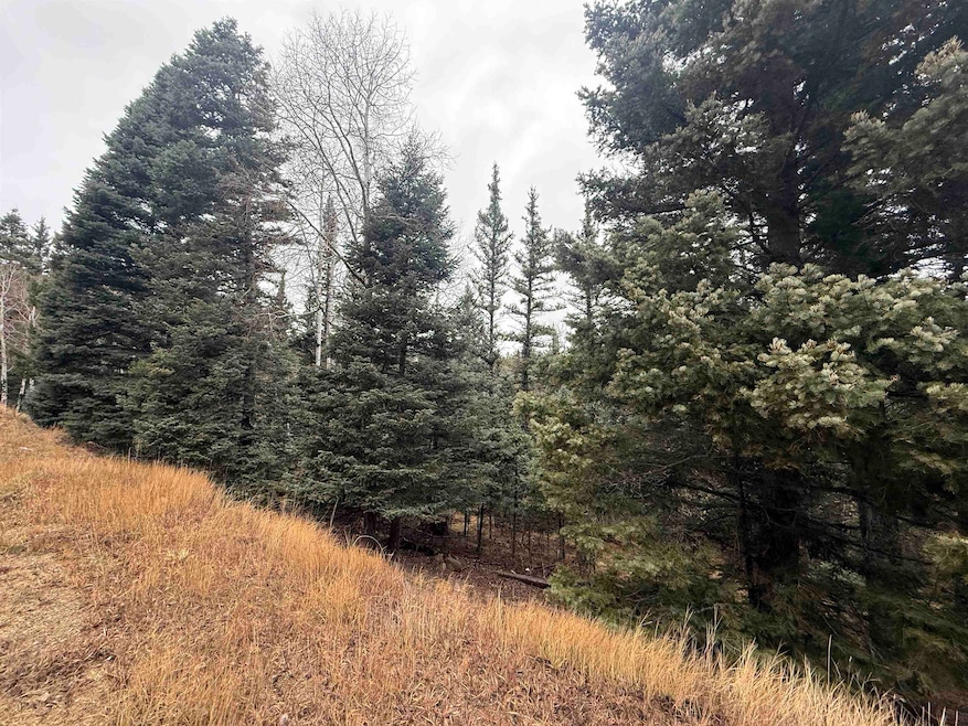 Lot 24 San Andres Terrace, Angel Fire, NM 87710 - photo 1