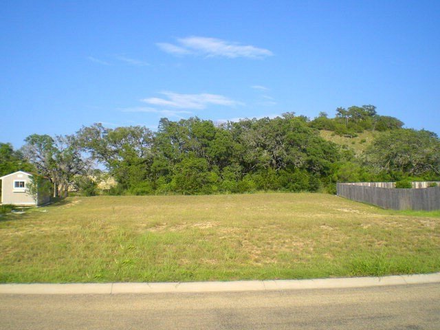 1117 Running Buck Ln unit 51, Fredericksburg, TX 78624 - photo 1