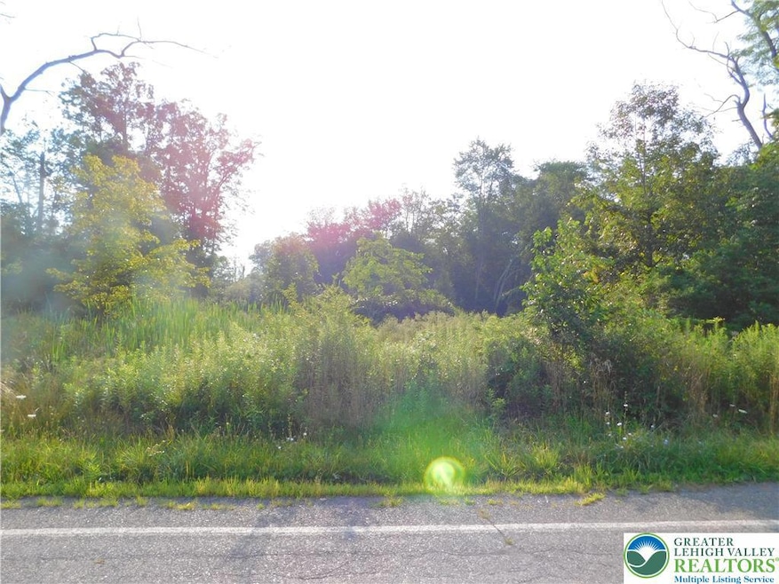 0 Lincoln Dr unit 725051, Tamaqua, PA 18252 - photo 1