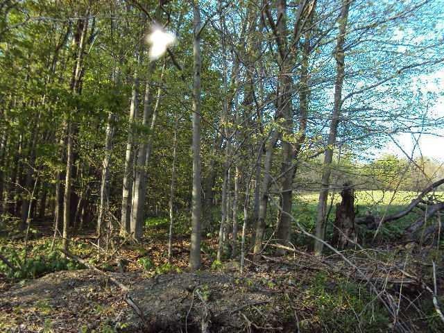 Land/Lot