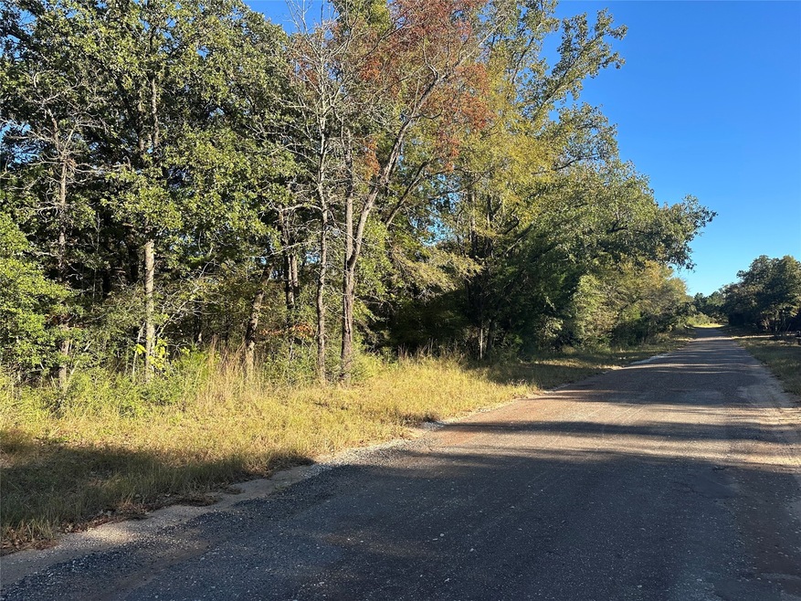 TR 4 Cr219, Buffalo, TX 75831 - photo 1