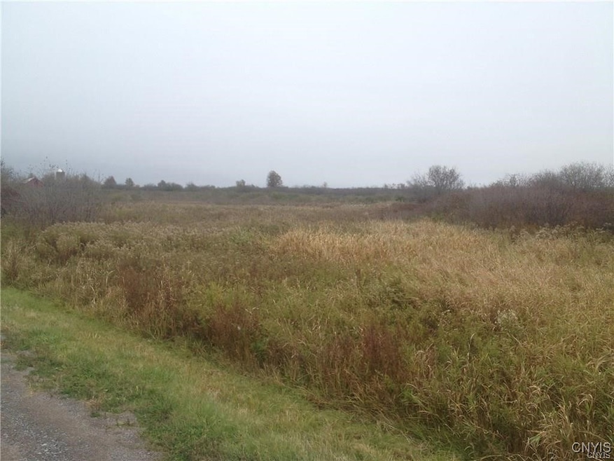 0 S Nellis Rd unit S1598891, Pamelia, NY 13637 - photo 1