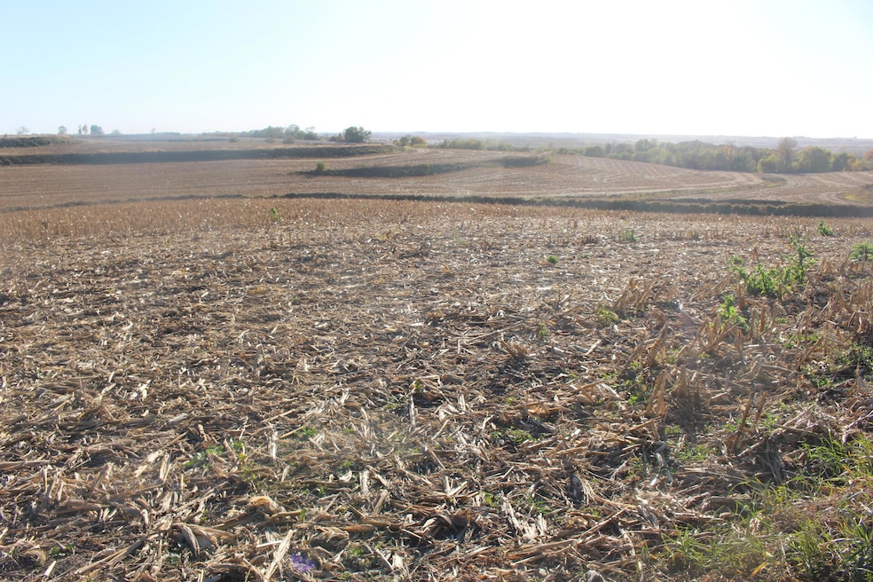 613 Clark St, Oakland, IA 51560 - photo 1