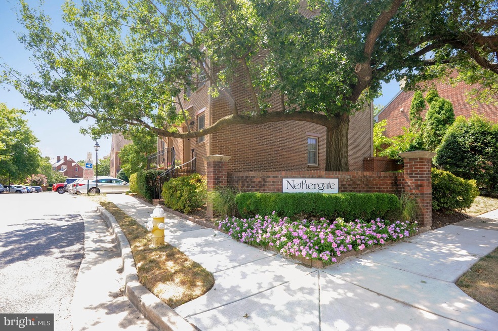 1215 Michigan Ct, Alexandria, VA 22314 - photo 1