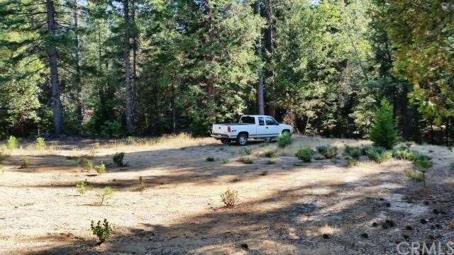 Building pad area.