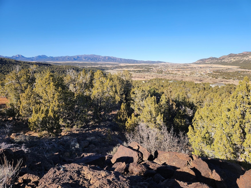 view north
