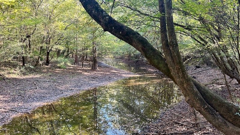 0 Lloyd Mill Rd unit LotWP001, Andalusia, AL 36421 - photo 1