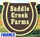 2354 E Saddle Creek Dr unit 20, Roanoke, IN 46783 - photo 1