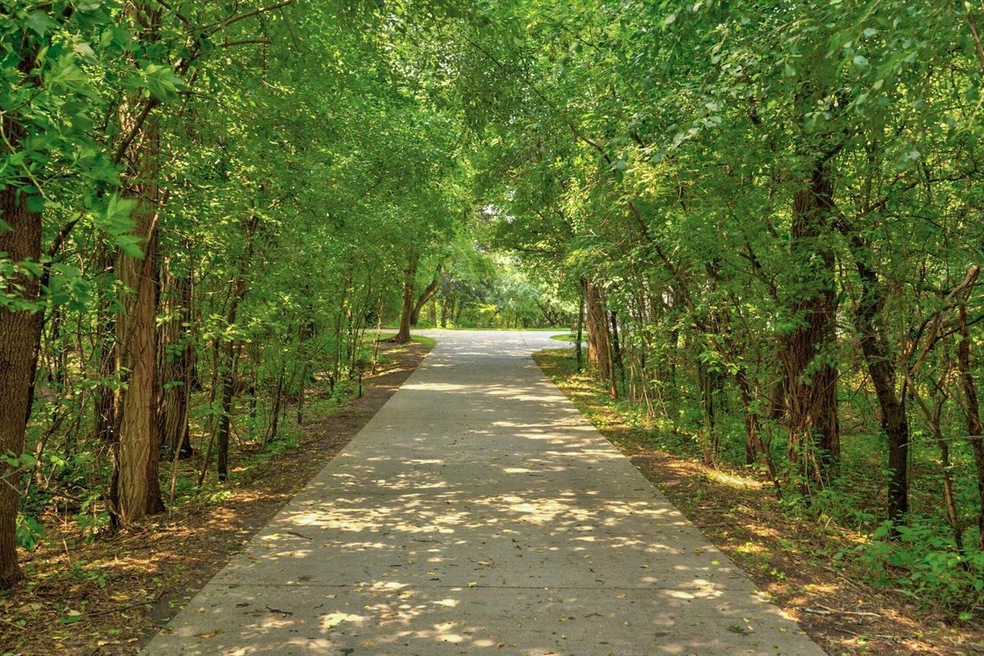 Tree Lined Driveway