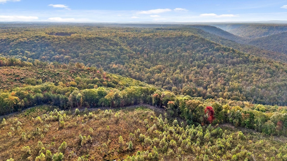 Roberts Road, Spencer, TN 38585