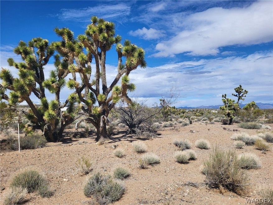 View of nature